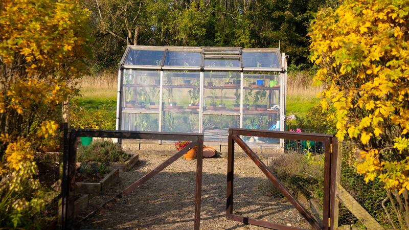 The greenhouse in the garden of  Ken Madden and Beth-Ann Smith’s Lismore home. Photograph: Patrick Browne