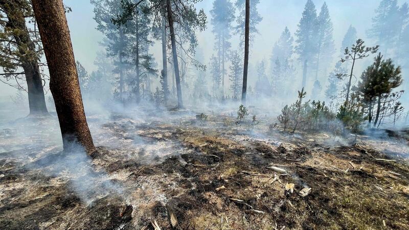 Wildfires in the drought-hit western United States and Canada are continuing to scorch vast areas. Photograph:  US Forest Service/AFP via Getty