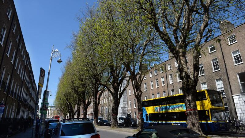 Red ribbons around trees on Baggot Street, Dublin. Photograph: Dara Mac Donaill