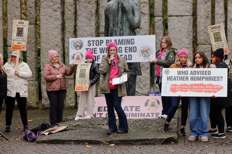 Protesters demonstrating in Dublin last year against the XL Bully Ban.  Photograph: Alan Betson