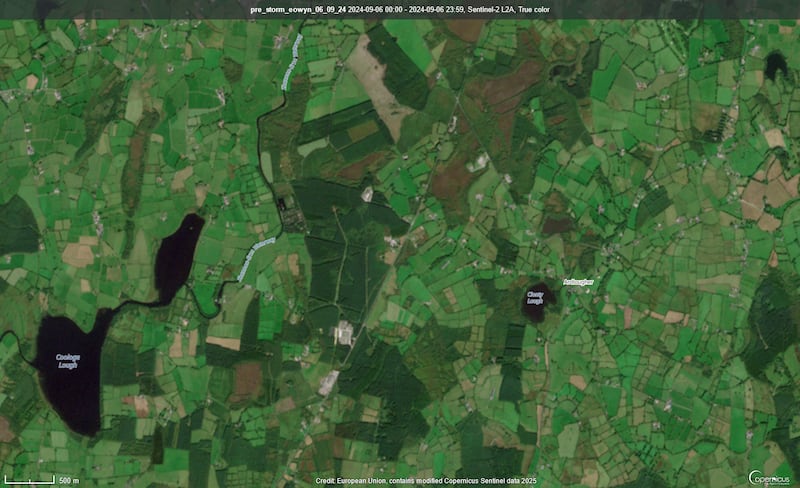 A satellite image shows woods outside Ballyconnell in Co Cavan before Storm Éowyn. Image: Department of Agriculture