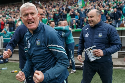 Limerick’s troubled past drifts further away as John Kiely’s men set the standard again