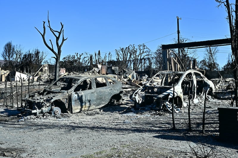 Burned-out cars and homes reduced to rubble by the Palisades Fire are seen in the Pacific Palisades neighbourhood of Los Angeles. Photograph: Frederic J. Brown/Getty Images