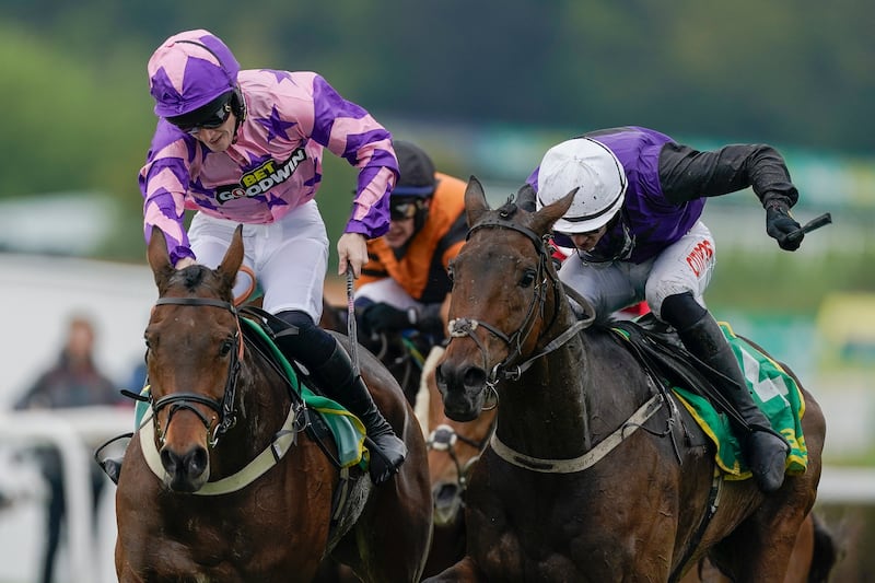 Danny Mullins riding Minella Cocooner (purple/black, white cap) to win the Bet365 Gold Cup at Sandown in April. Photograph: Alan Crowhurst/Getty Images