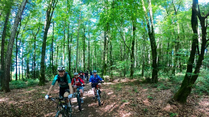 Slieve Bloom bike trail