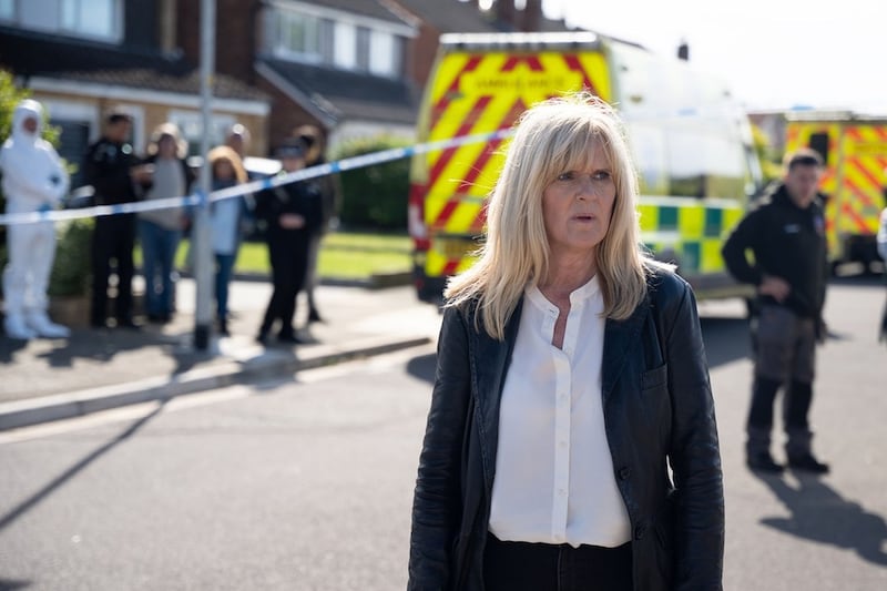 Protection: Siobhan Finneran as detective inspector Liz Nyles