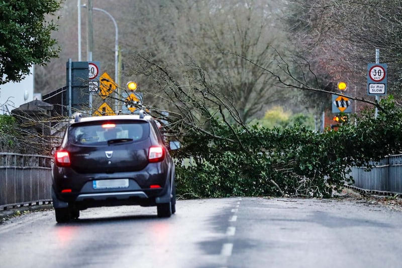 A driver stops at a fallen tree in Limerick. Photograph: Damien Storan