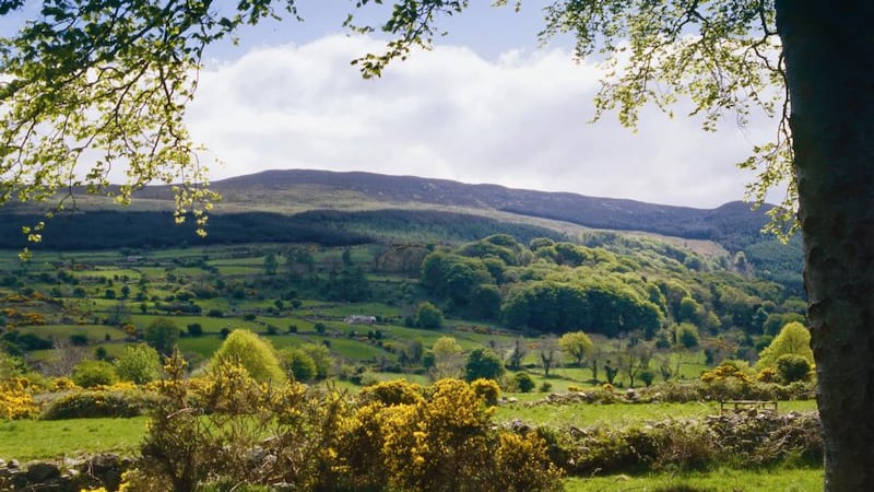 Visit the fabled Slieve Gullion in Co Down