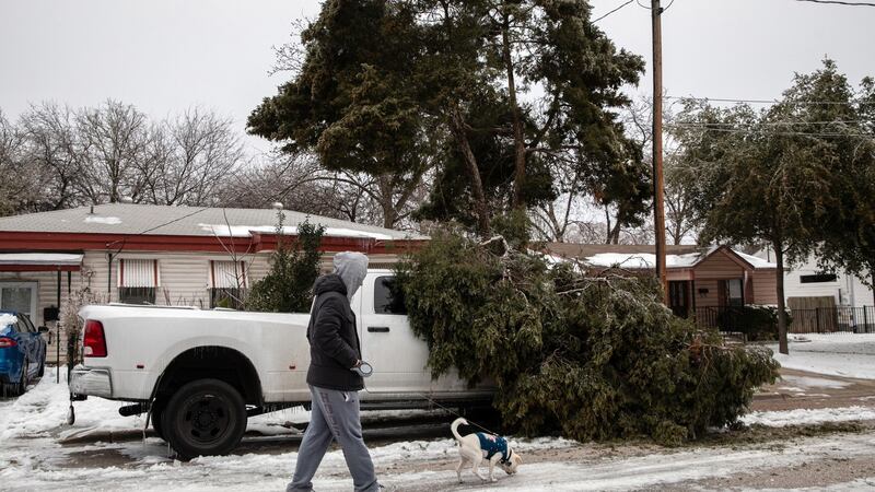 A man walks his dog past a tree limb that fell onto a truck in Austin, Texas. Amid widespread power losses, millions of Texans were also advised to boil their water for safety. Photograph: Tamir Kalifa/The New York Times