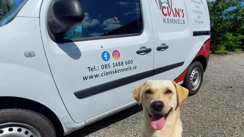 Cooper and the Cian’s Kennels van, which will transport pets to the hospital to visit sick children. Photograph: Cian’s Kennels