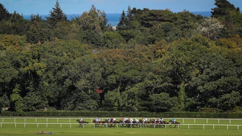 A view of The Ballylinch Stud European Breeders Fund Fillies at Leopardstown. Photograph: Ryan Byrne/Inpho