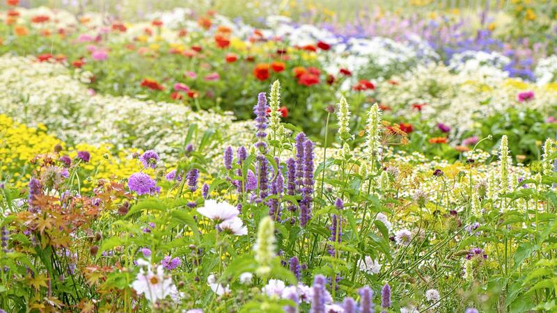 A summer garden. Photograph: Getty