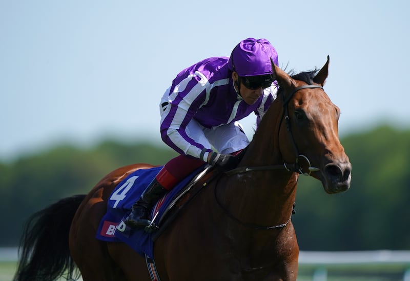 Little Big Bear irdden by Frankie Dettori wins The Betfred Nifty Fifty Sandy Lane Stakes at Haydock Park Racecourse, Merseyside. Photograph: Tim Goode/PA