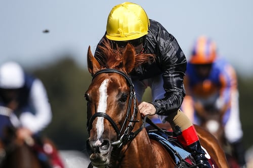 Stradivarius to strike the right note in Goodwood Cup
