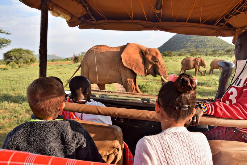 Seeing Africa’s wildlife up close is a thrill for all ages