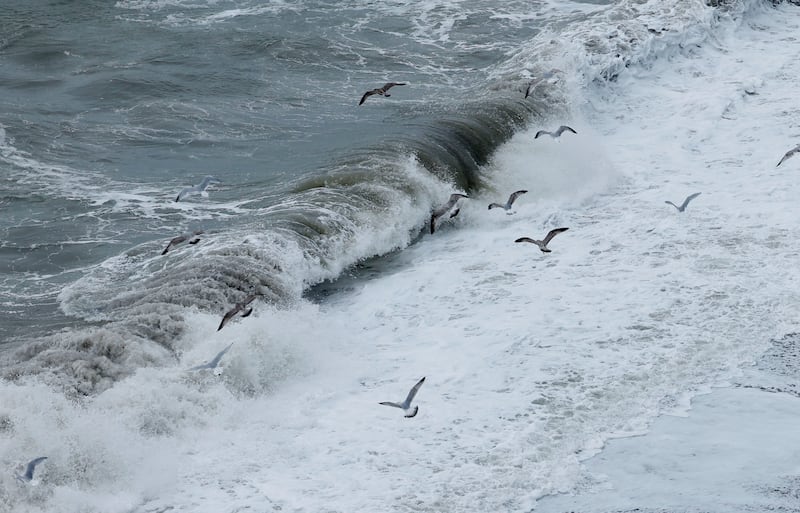 A windy Killiney Beach as Storm Agnes hits the east coast. Photograph: Alan Betson/The Irish Times

