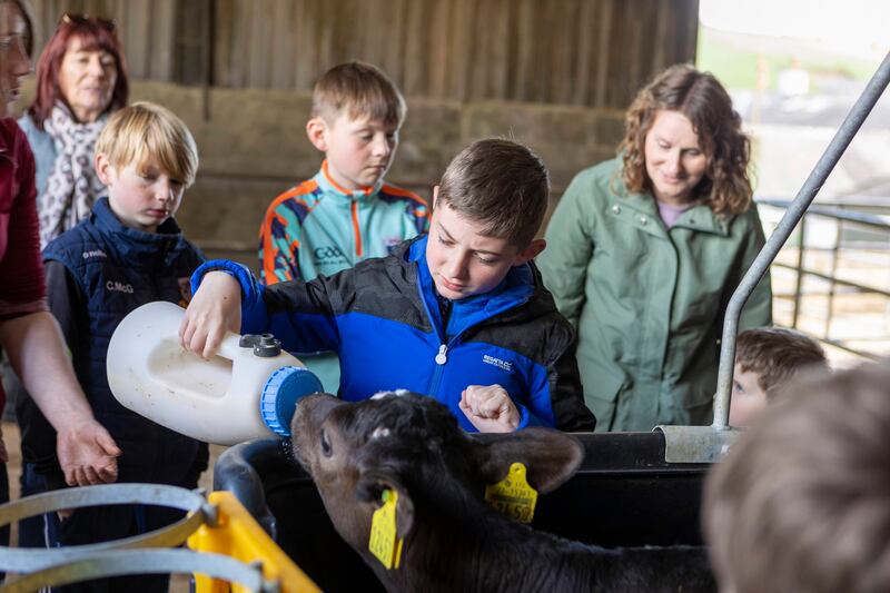 Michael Carey (10) feeding a calf at O'Sullivan's farm on the Family Farm Bus Tour in Colligan as part of the West Waterford Festival of Food