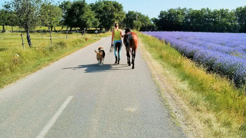 Conor Haugh’s girlfriend Virginie walking alongside a field of lavender