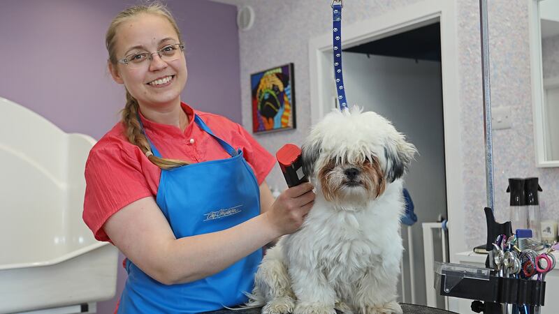 Simona Plius Vygandas and her fluffy client Teddy at her new business Simonas K9 Studio, professional dog grooming in Edgeworthstown. Simona has been in business now for 3 months.