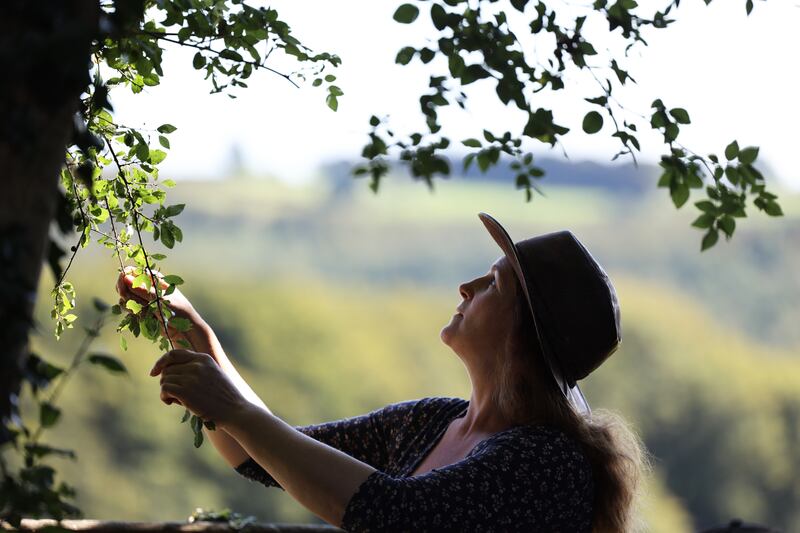 Forager-in-chief Geraldine Kavanagh. Photograph: Nick Bradshaw 