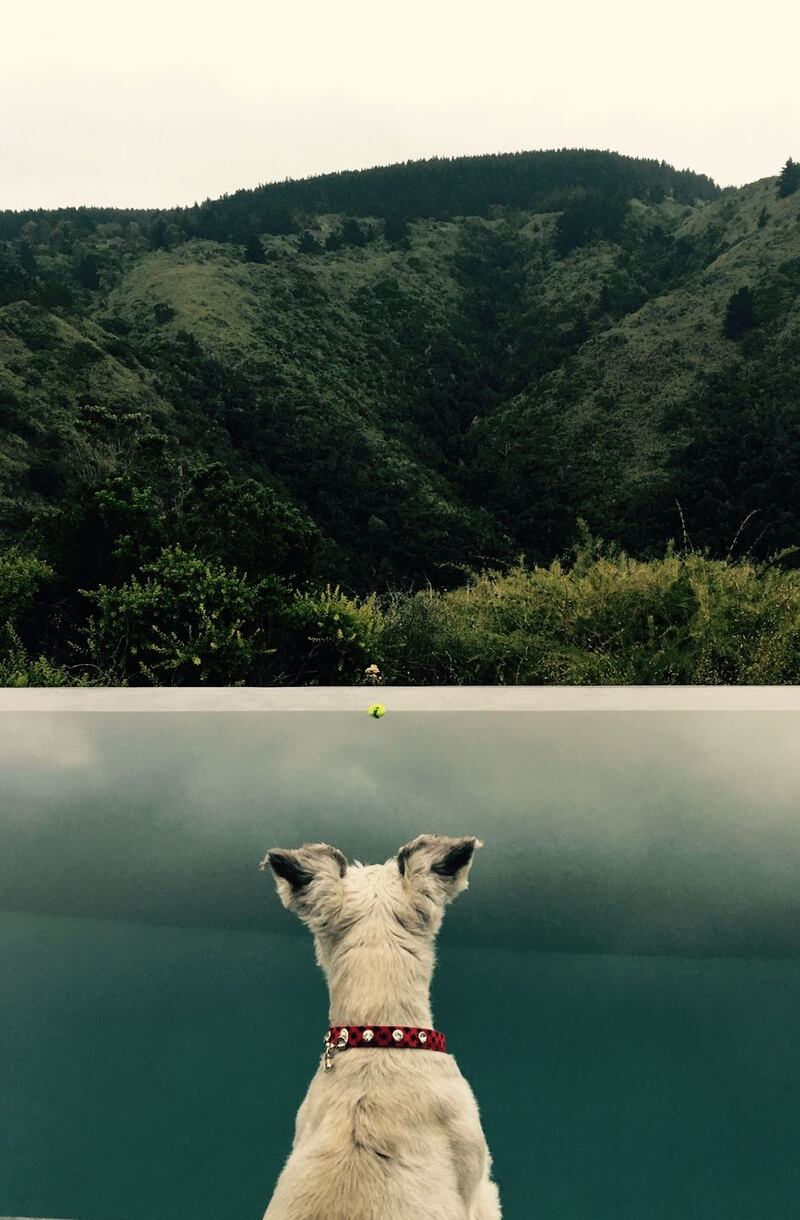 Balls! If only I could swim. Photograph:  John Goodwin