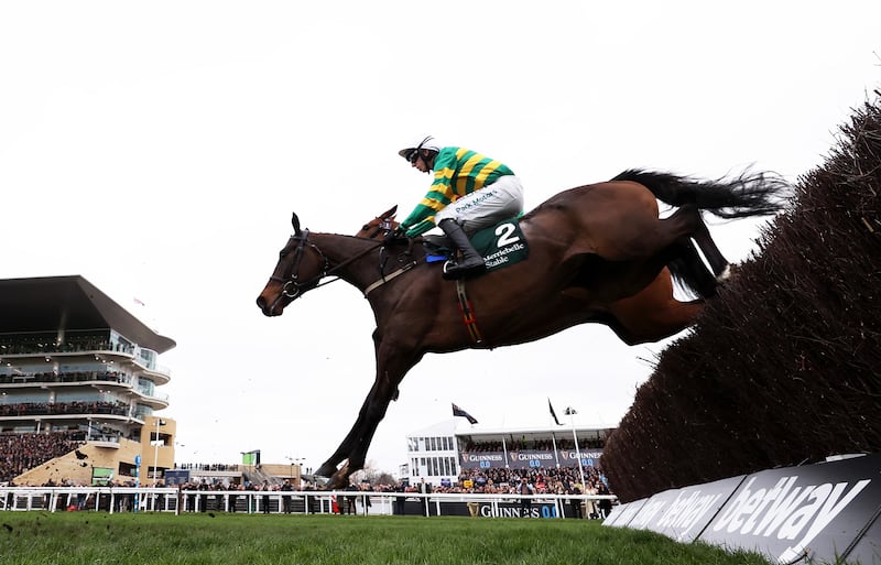 Fact to File, ridden by Mark Walsh, take flight on their way to winning the Brown Advisory Novices Chase at Cheltenham Racecourse in March. Photograph: Michael Steele/Getty Images