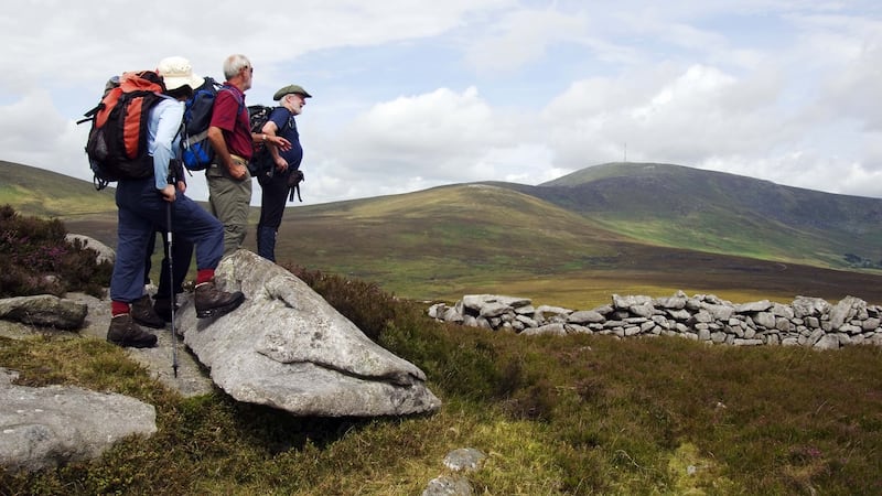 The Carlow Walking Festival caters to all abilities, from intense mountain treks to guided strolls