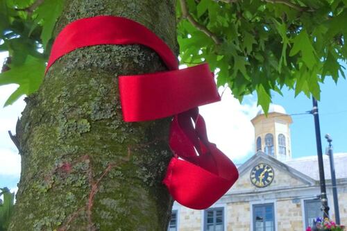 Red ribbon protest: Urban tree removals spark local demonstrations