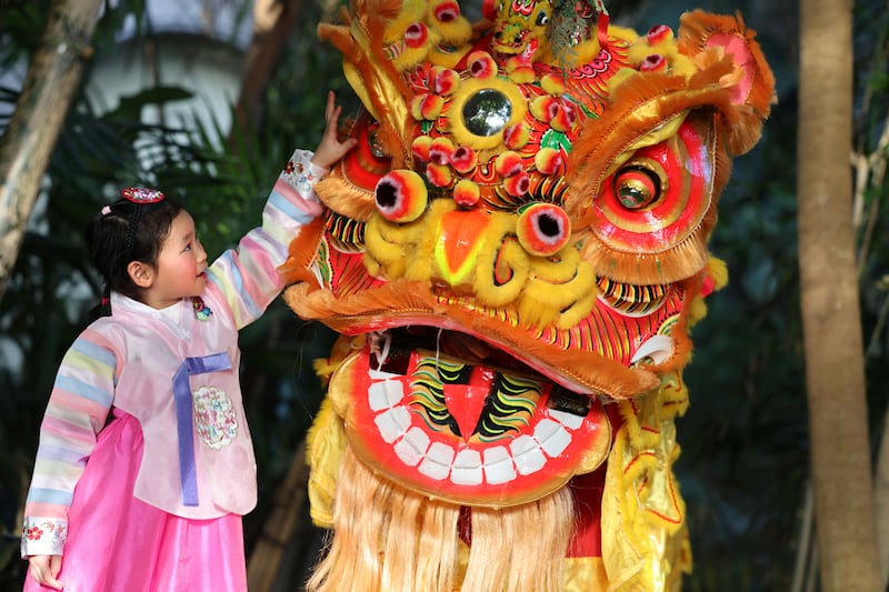 Maya Wai (6) with the Flower City Lion Dancers at the launch of Dublin City Council’s Lunar New Year celebrations. Photograph: Dara Mac Dónaill


