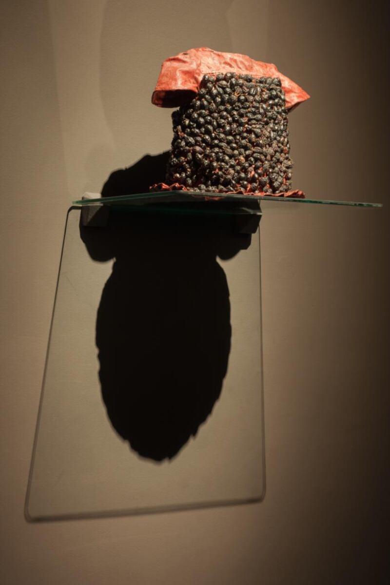 Alice Maher, Berry Dress, 1994, rosehips, cotton, paint, sewing pins. Collection Irish Museum of Modern Art