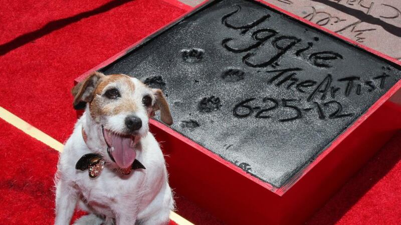 Uggie became the first dog to have his prints cemented outside Grauman’s Chinese Theatre in Hollywood. Photograph:  David Livingston/Getty Images