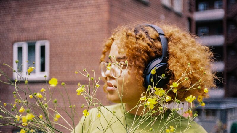 An interactive sound project, 1000 Miniature Meadows includes interviews with experts on biodiversity and field recordings.