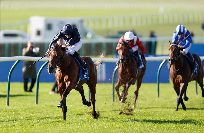 Expecting City Of Troy to match the feats of two true greats may prove to be a bit much. Photograph: Nigel French/PA Wire