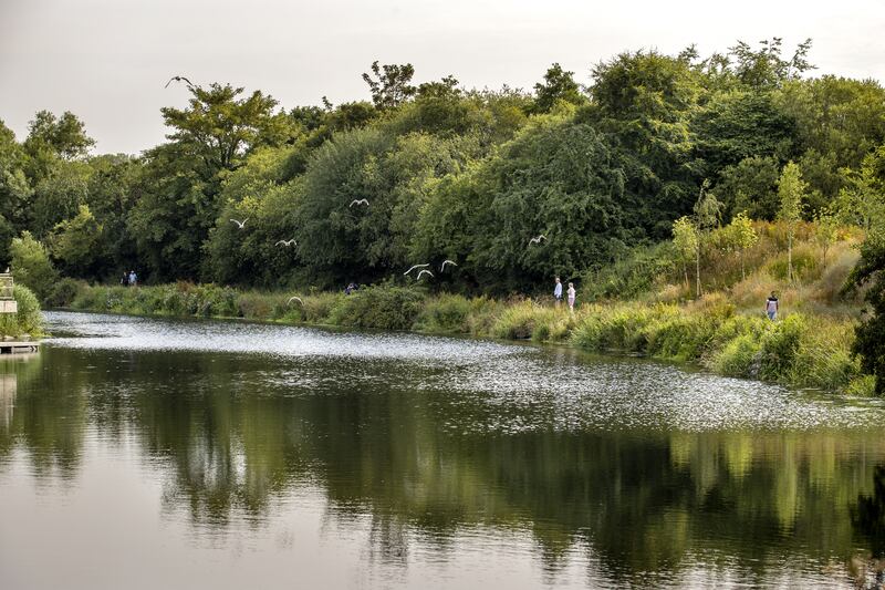 The Lagan Towpath in Belfast. Photograph: Liam McBurney/PA