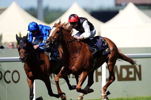 Aidan O’Brien’s Kyprios regains Gold Cup after classic battle at Royal Ascot 