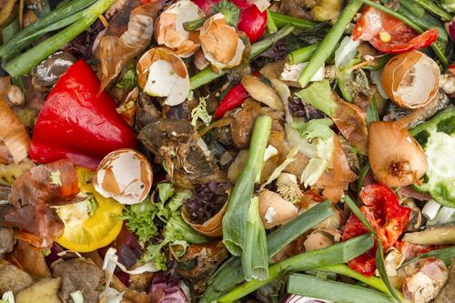 How positive behaviour can make a real difference in reducing food waste