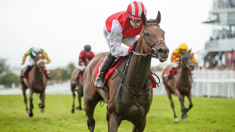 Mark Enright wins the  Rovetta race the Tote Irish EBF Mares’ Handicap Hurdle at Galway. Photograph: James Crombie/Inpho