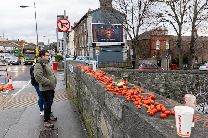 Cherry Tomato Bridge in Drumcondra, Dublin. Photograph: Tom Honan