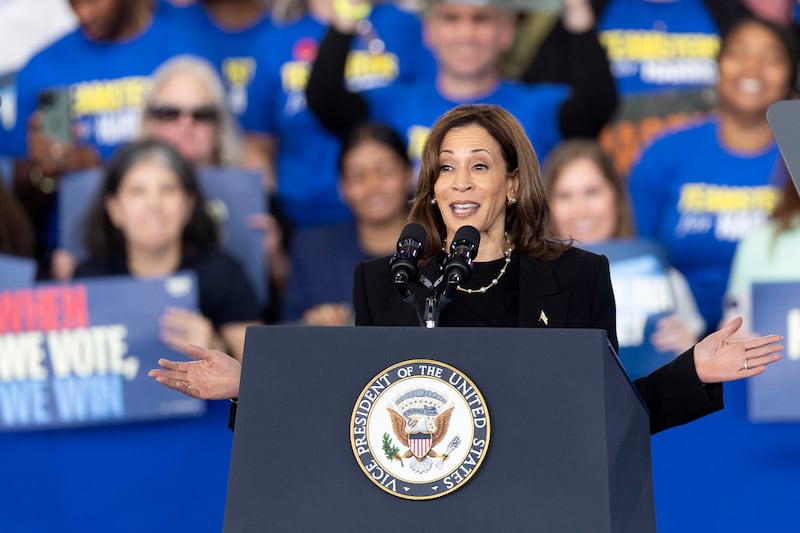 US vice president and Democratic presidential candidate Kamala Harris speaks in Raleigh, North Carolina, on Wednesday. Photograph: Ryan M Kelly/AFP via Getty Images