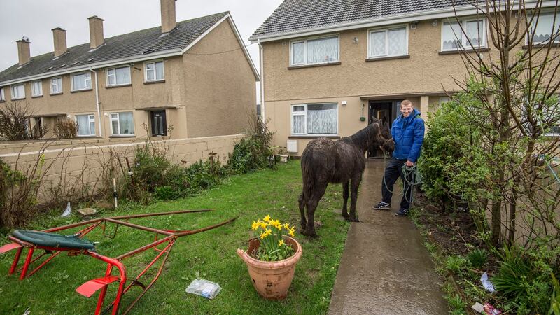 Damian Joyce of Southill in Limerick. Photograph: Brenda Fitzsimons