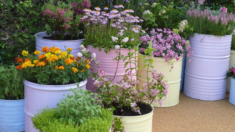 Oil drums cut to different depths and then painted are another way to pot your garden.