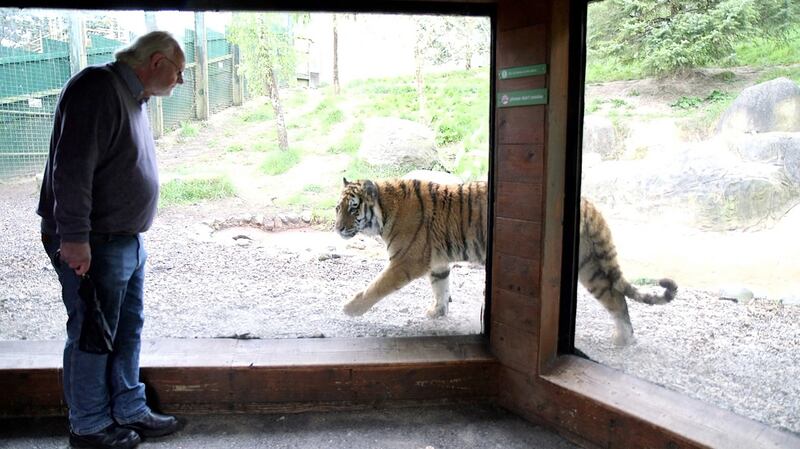 Dublin Zoo’s  animal care team is still providing care to more than  400 animals while shut down. Photograph: Bryan O Brien / The Irish Times