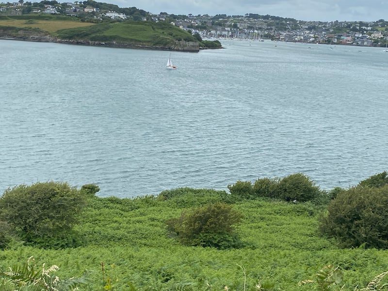 Kinsale harbour