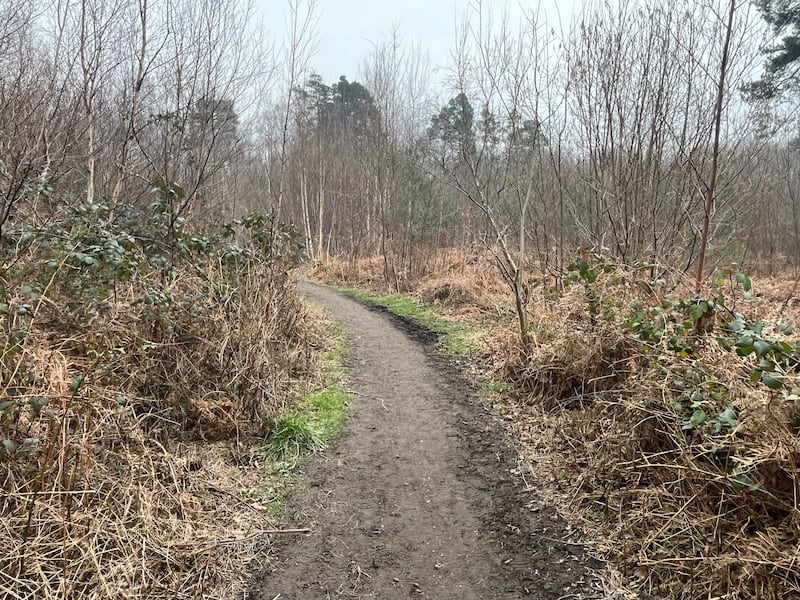 A pathway in Whitmoor Common where Scappaticci walked his dog