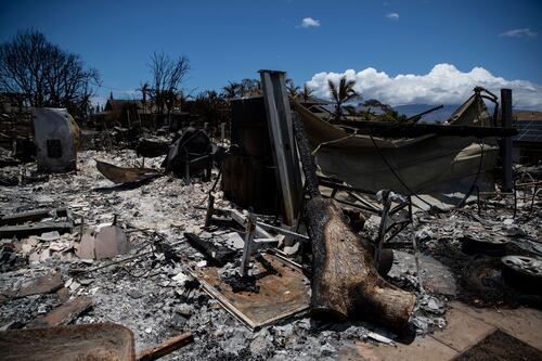 After the wildfires, the next threat to the people of Lahaina: predatory real estate agents