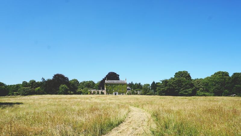 Killyon Manor and the five-acre meadow in Co Meath. Photograph: Felipe Lopez