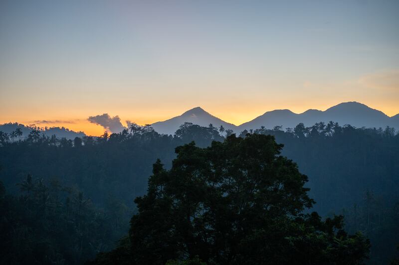 Sunset view from Botanist Bar