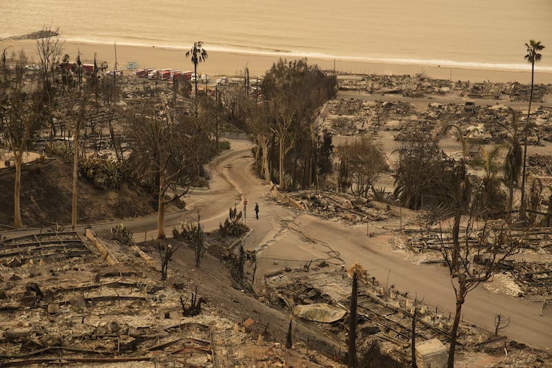 A person walks down a street in the aftermath of the Palisades Fire in the Pacific Palisades neighbourhood of Los Angeles. Photograph: John Locher/AP