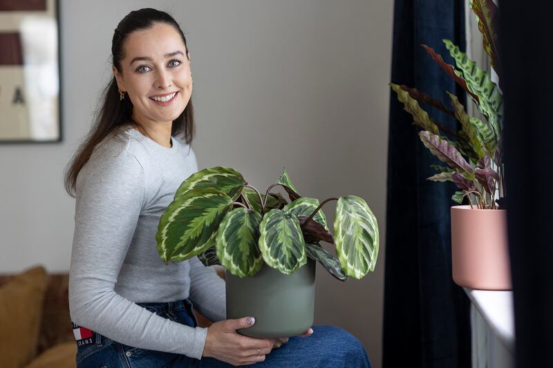 Millennials and house plants: ‘I couldn’t live without plants; they give me so much joy’