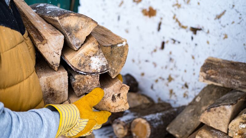 Ensure the wood is certified and has a guarantee of less than 25 per cent moisture content. Photograph: iStock